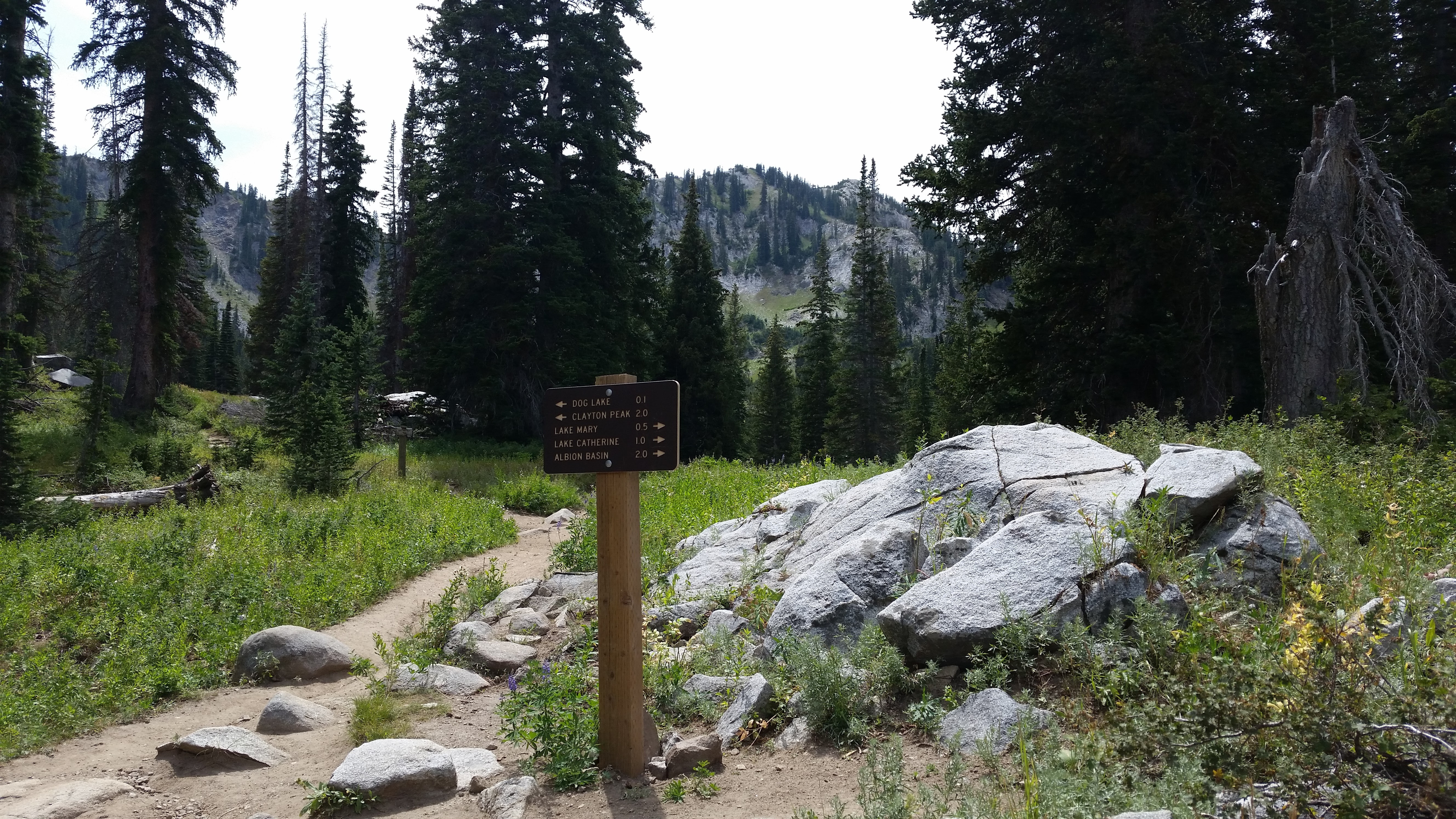 Snowbird – Utah · 2016